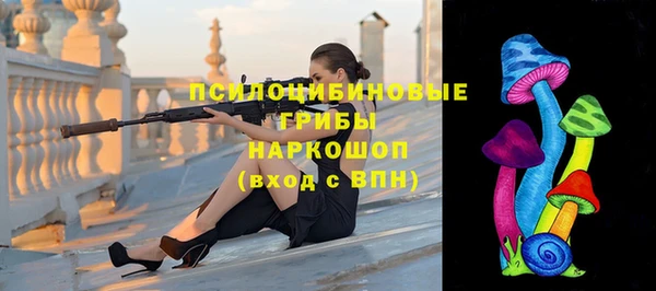 гидра Белоозёрский