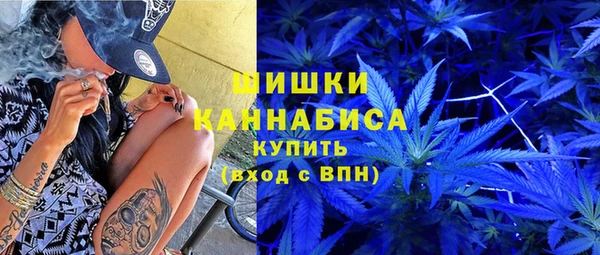 дурь Богородицк