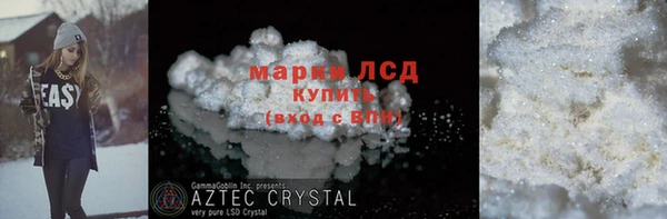 прущие грибы Горно-Алтайск