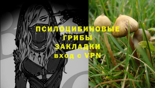 гидра Белоозёрский