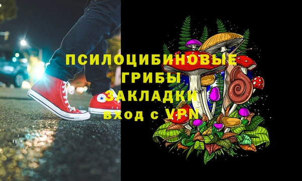 крисы Богданович