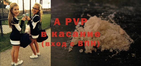 стафф Горнозаводск